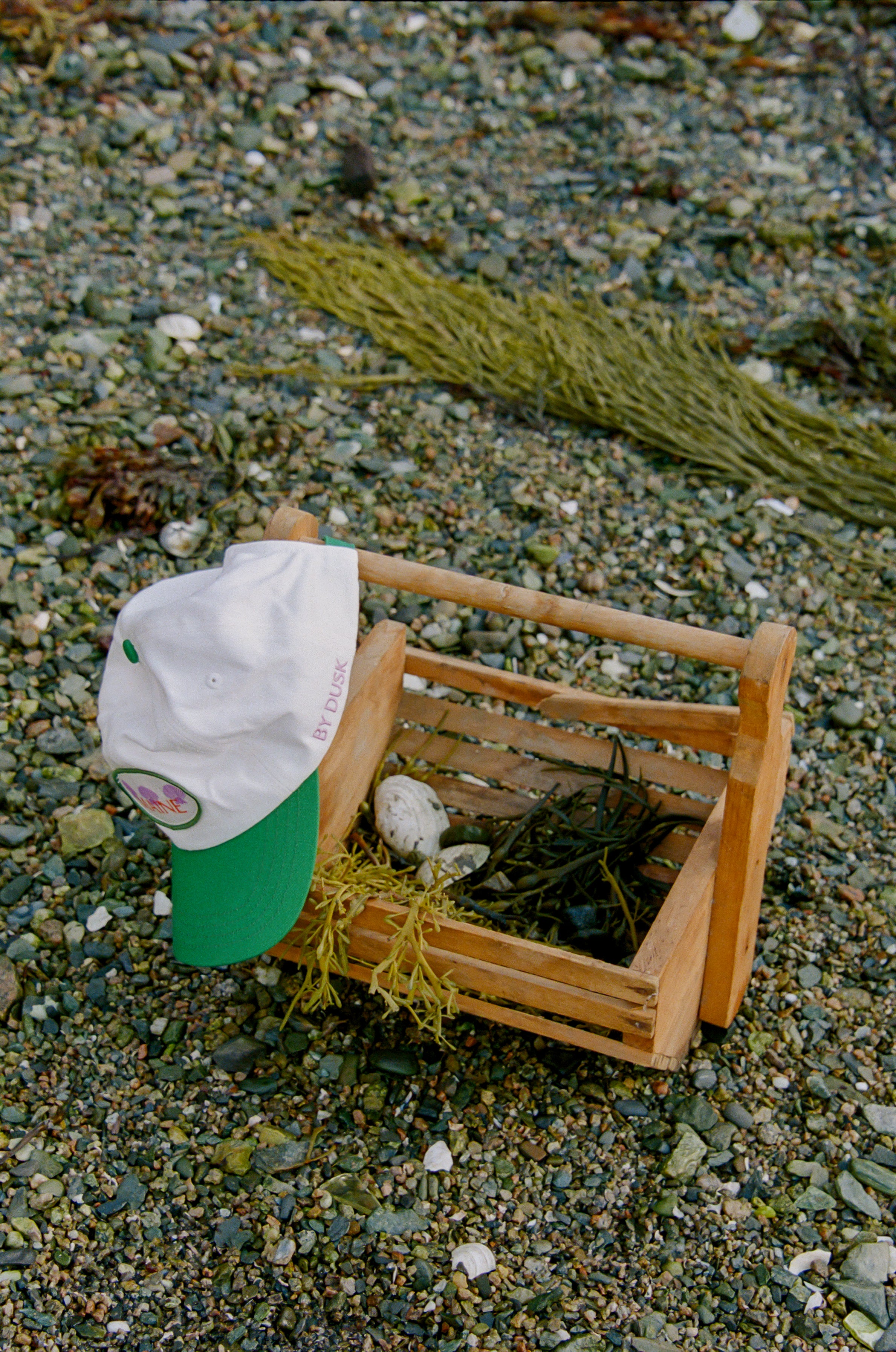 Slide image